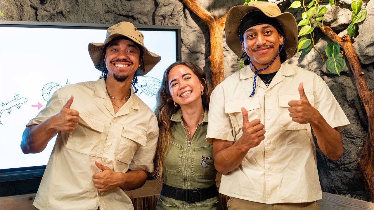 How Alveus Sanctuary Shattered Records to Become a Top Twitch Channel Worldwide